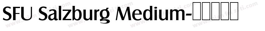 SFU Salzburg Medium字体转换